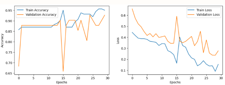 Training and validation accuracy and loss curves over 30 epochs